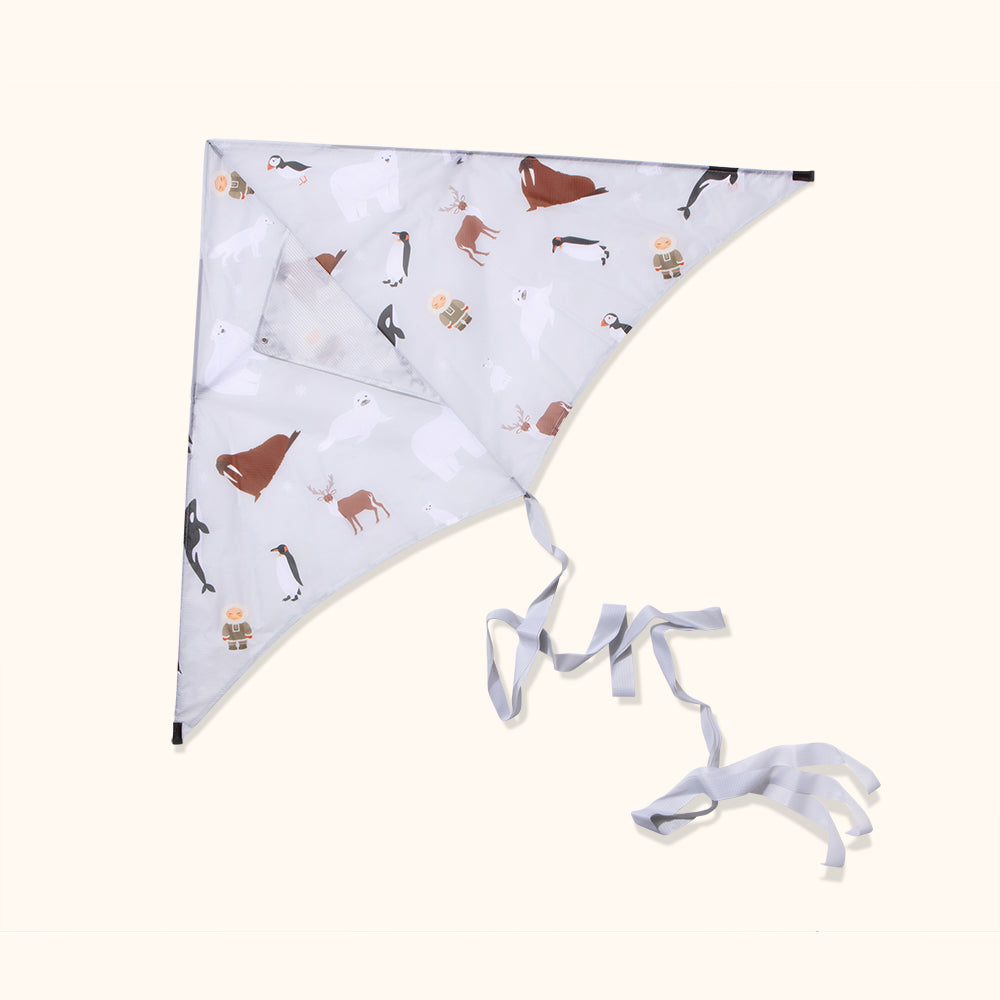 Polar - Sustainable Kite 
