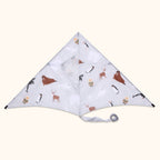 Polar - Sustainable Kite