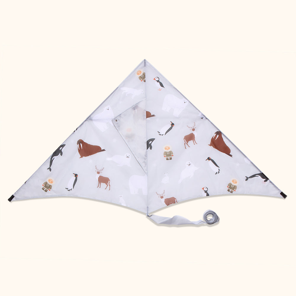Polar - Sustainable Kite